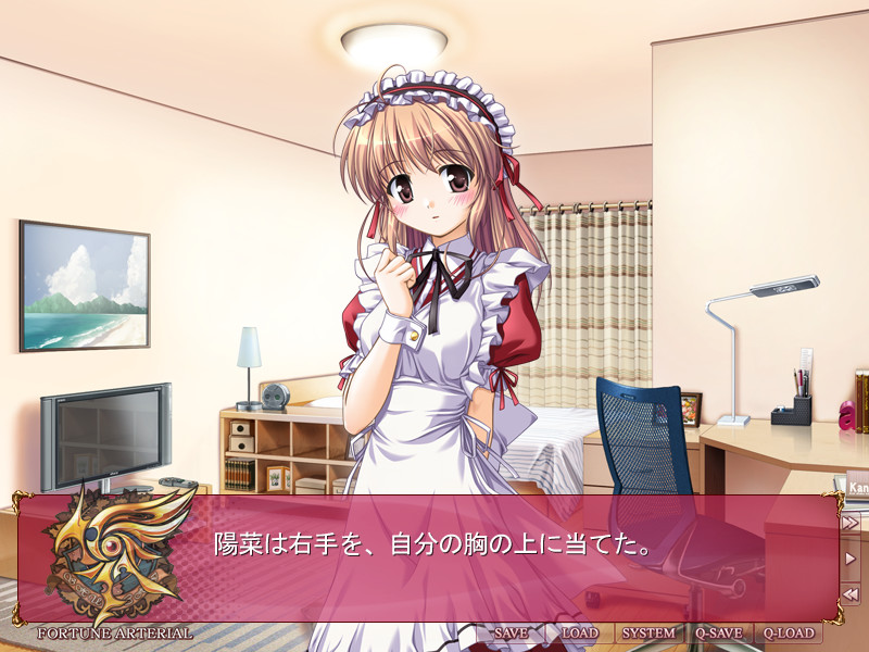 FORTUNE ARTERIAL