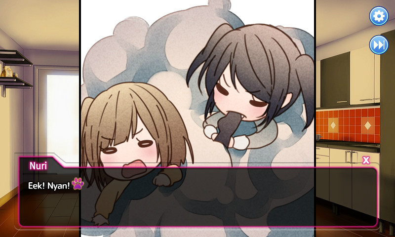 우리집 아기고양이