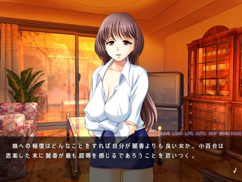 네토라레 카레시