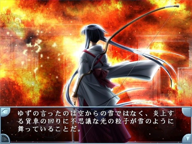 flutter of birds II 천사들의 날개