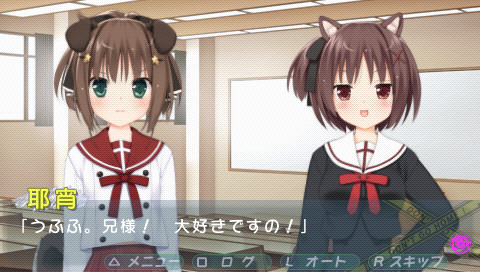 이 부실은 귀가하지 않는 부가 점거했습니다. 포터블 학원 도그 이어 편