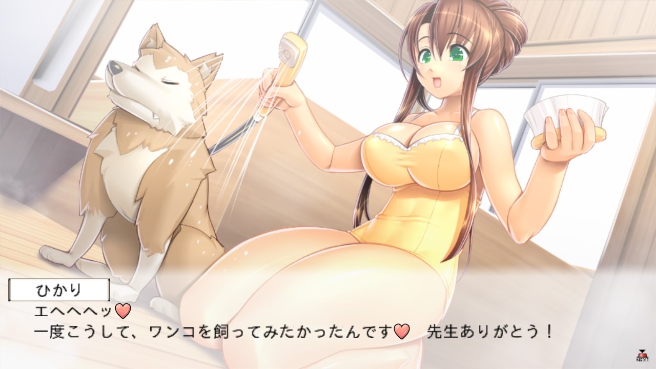 쿠노이치처럼 -벗겨라! 폭유 닌자즈!-