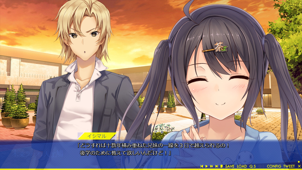 미래 라디오와 인공비둘기