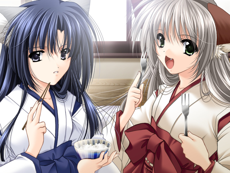 오카에시비~스트!!