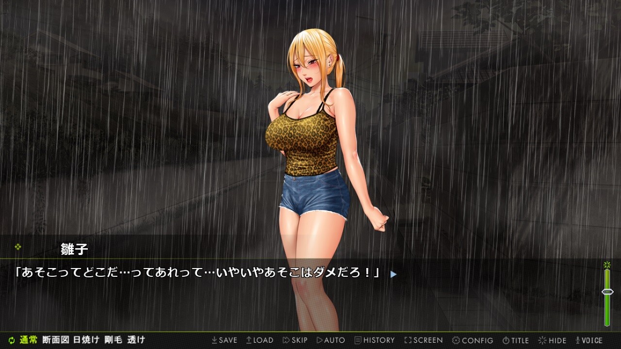 전직 양키 아내 히나코 ～심신 모두 완벽한 네토리!～