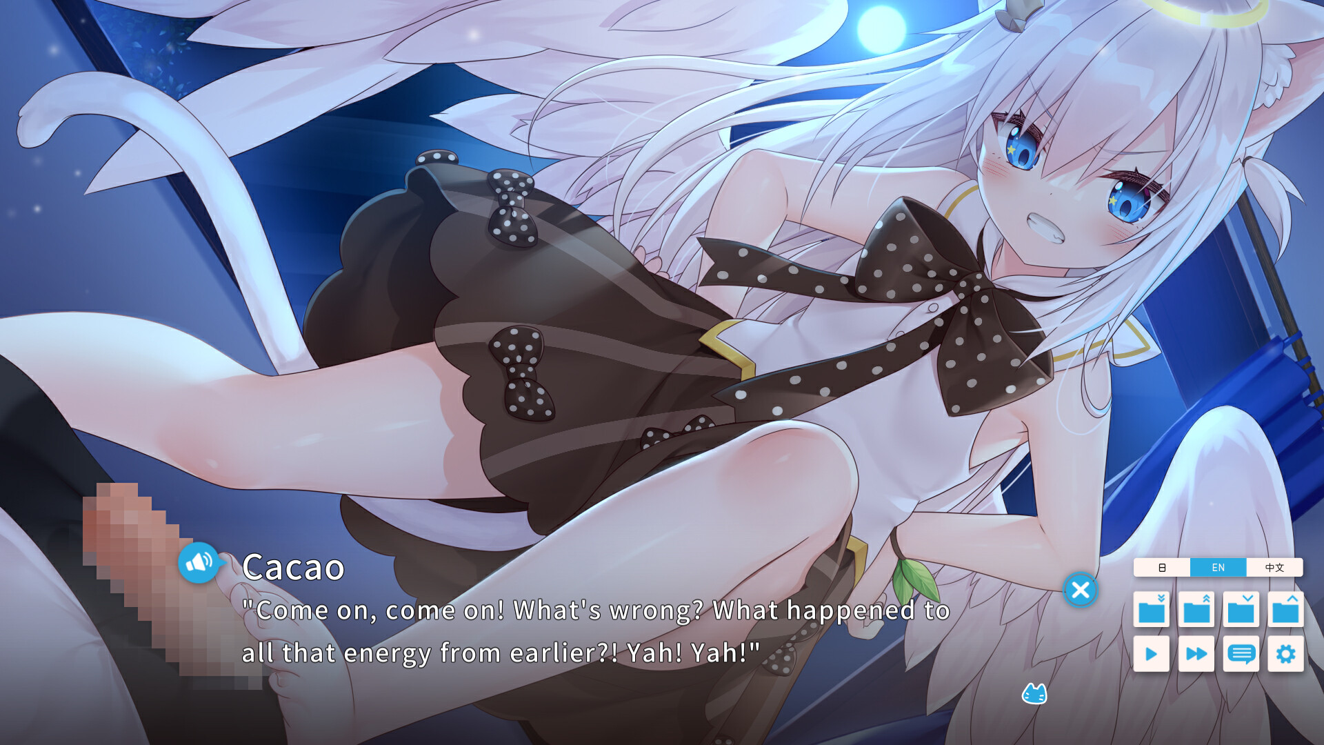 우리 집 펫 사정 Vol.1