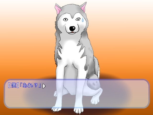 개로 변한 저와 H하는 여자들