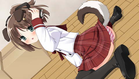 이 부실은 귀가하지 않는 부가 점거했습니다. 포터블 학원 도그 이어 편