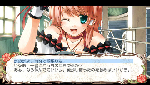 란도 이야기 레아랜드 스토리 ～소녀의 약정～