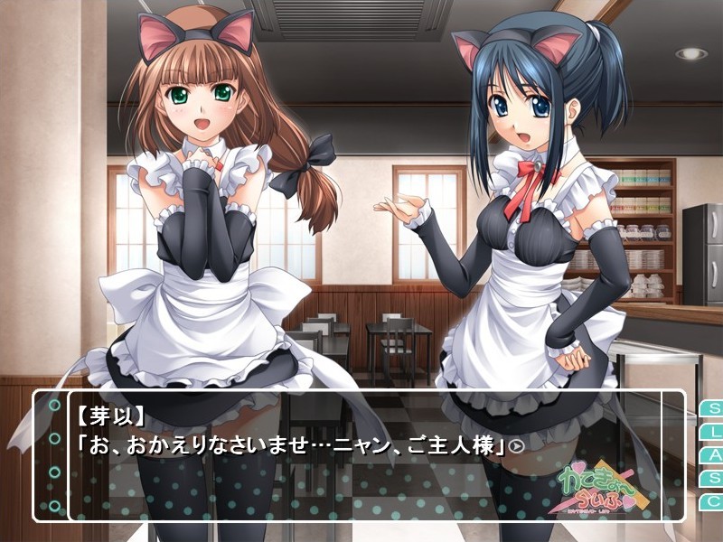 카테쿄～라이프