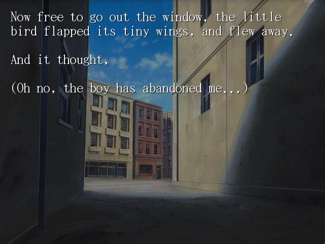 가엾은 작은 새