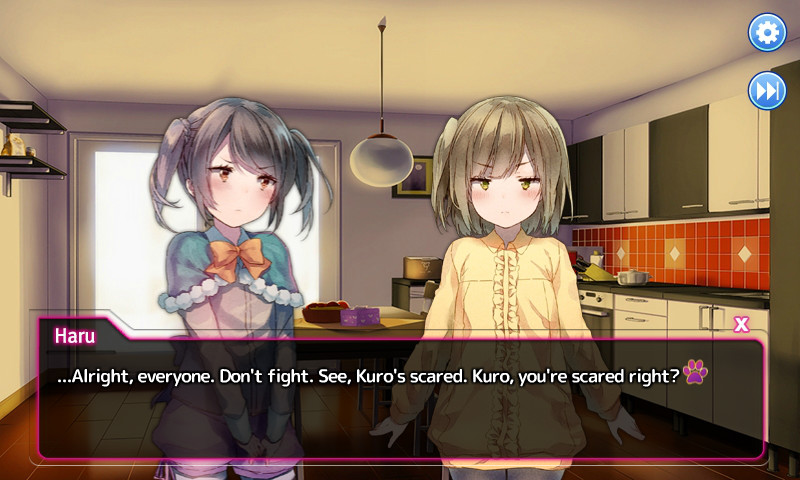 우리집 아기고양이