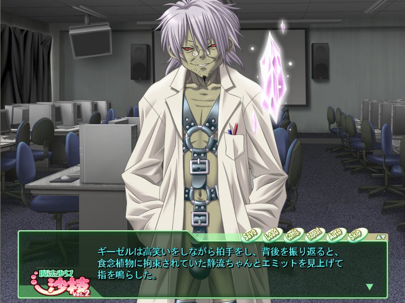 마법소녀 사에 Vol.2