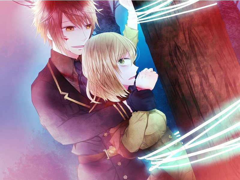 연정 과다의 유포리아