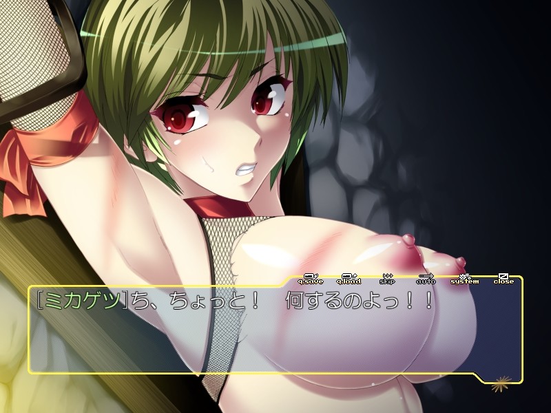 쿠노이치 미카게츠 음유기 심문편