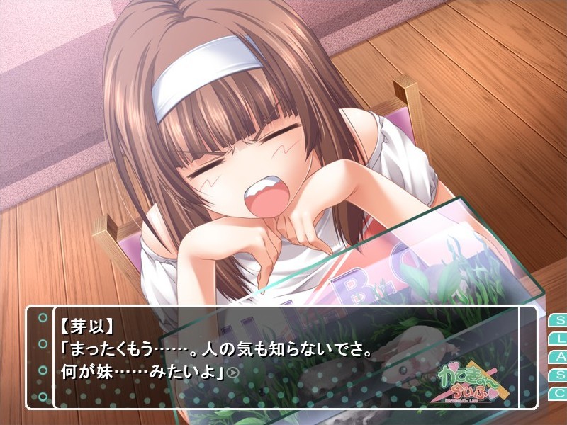 카테쿄～라이프