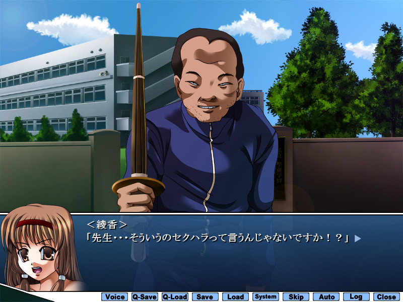 윤간학교 2 ~복수의 처녀산화~