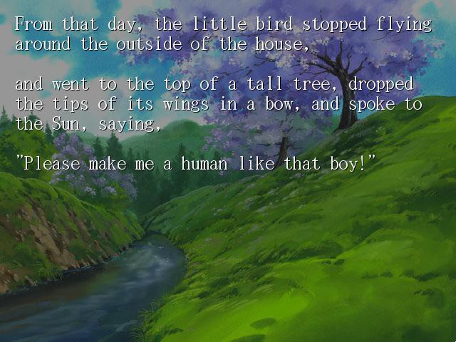 가엾은 작은 새