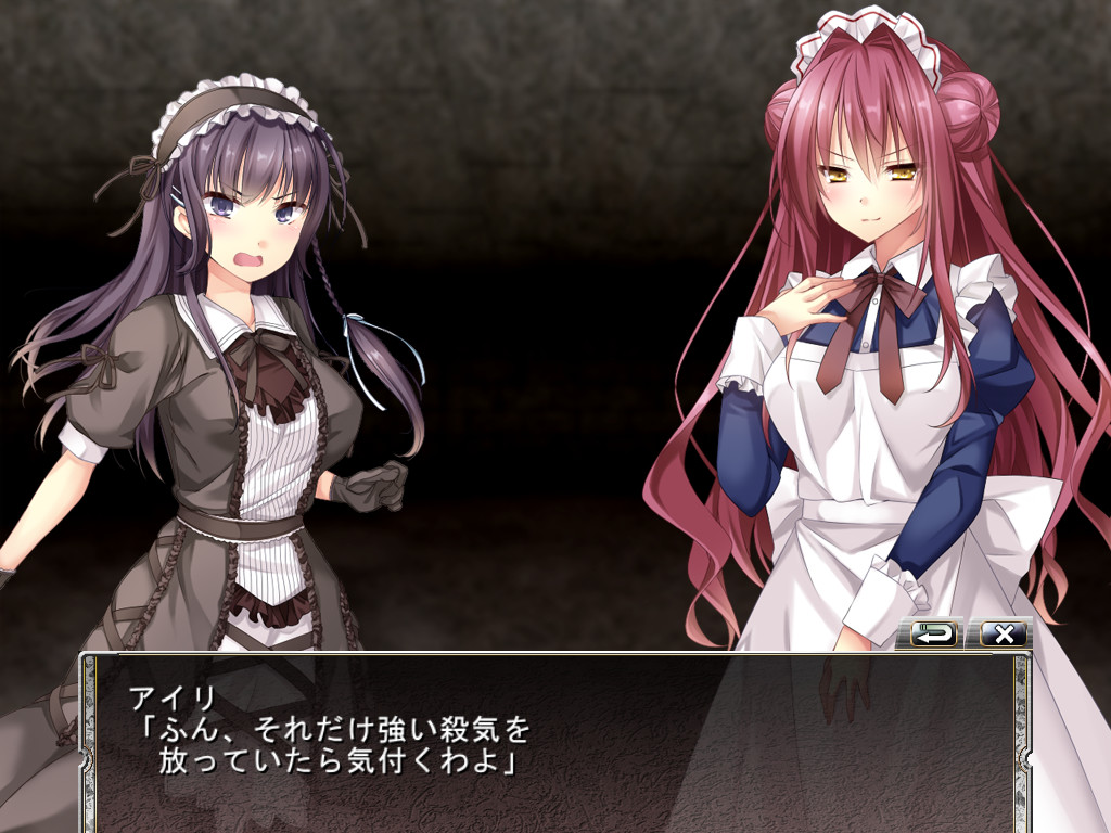 던전즈＆히로인즈 -불가사의한 미궁과 이계의 소녀-