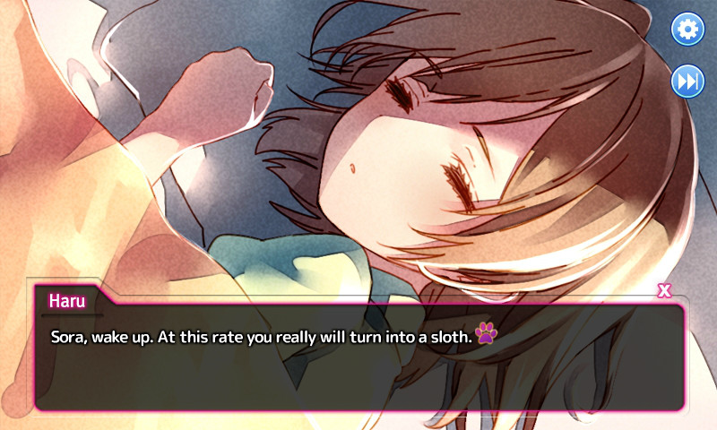 우리집 아기고양이