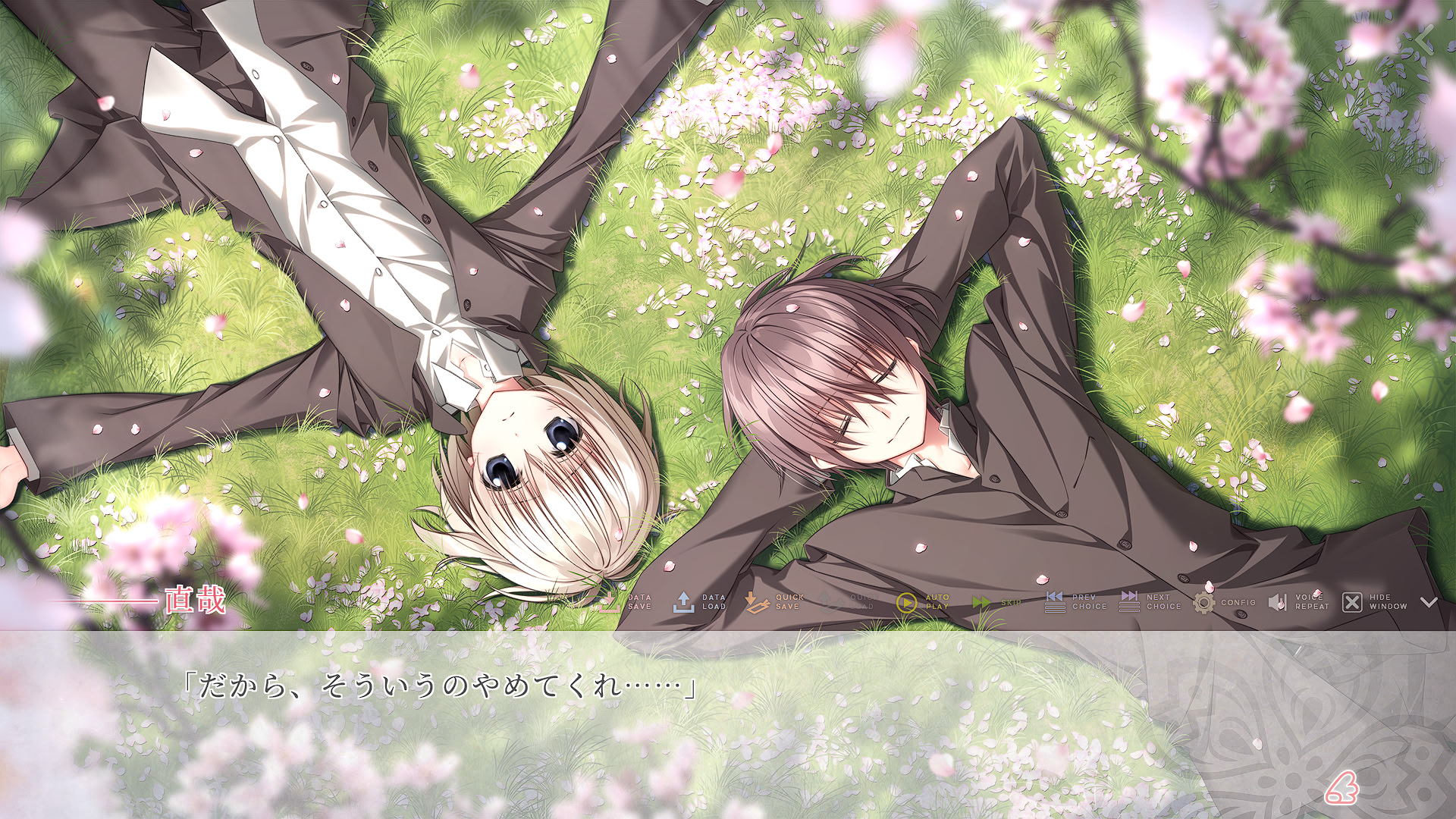 사쿠라의 시 -벚나무 숲 위에 흩날리다-