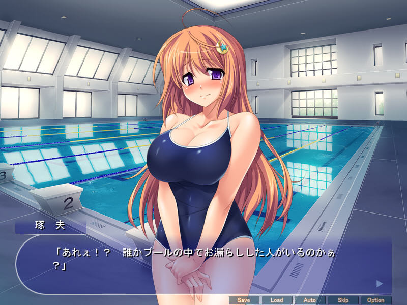 성야전희 아르테미스·함락 ～성스러운 전사의 긍지와 일상이 키모오타 정자로 유린당한다!～