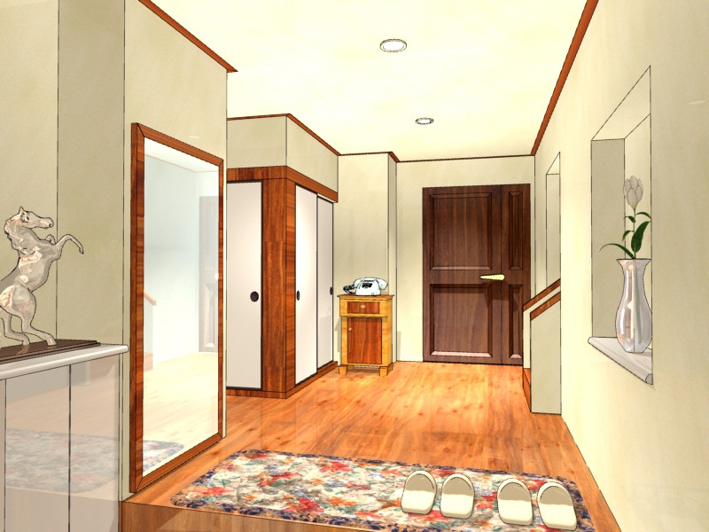 네토라레 카레시