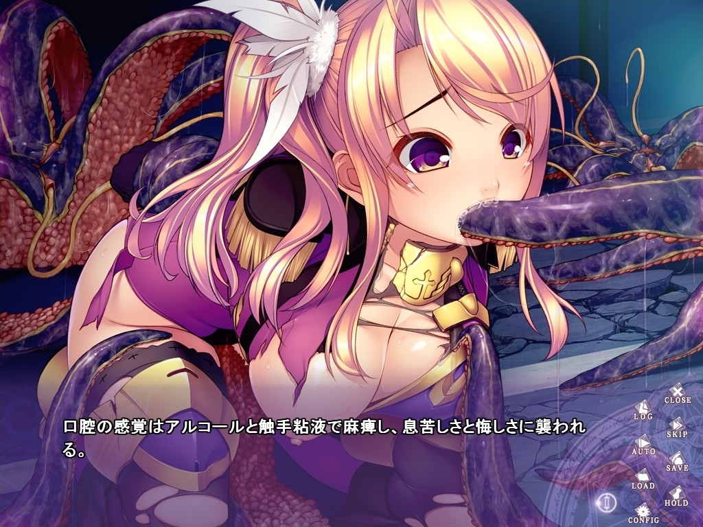 섬전의 수호기사 니이나