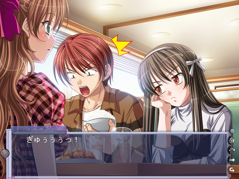 음욕 심료 클럽