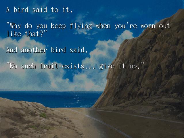 가엾은 작은 새