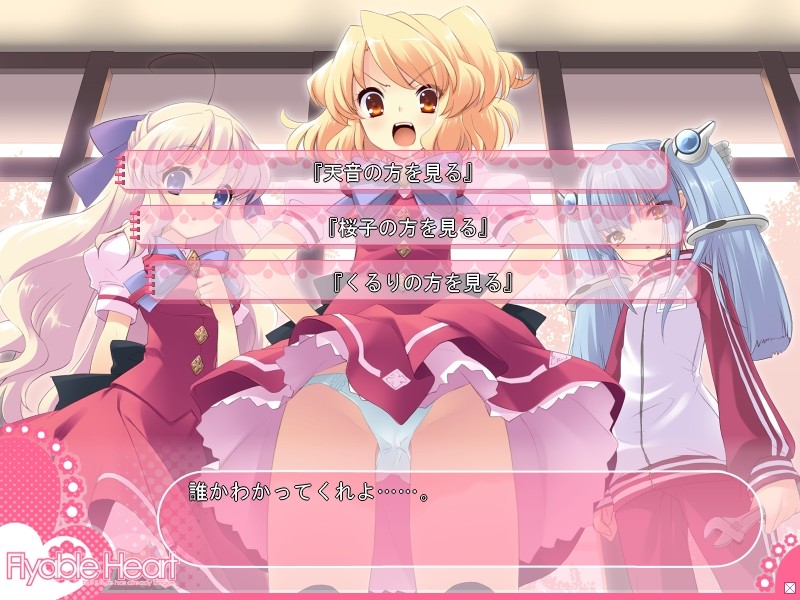 Flyable Heart