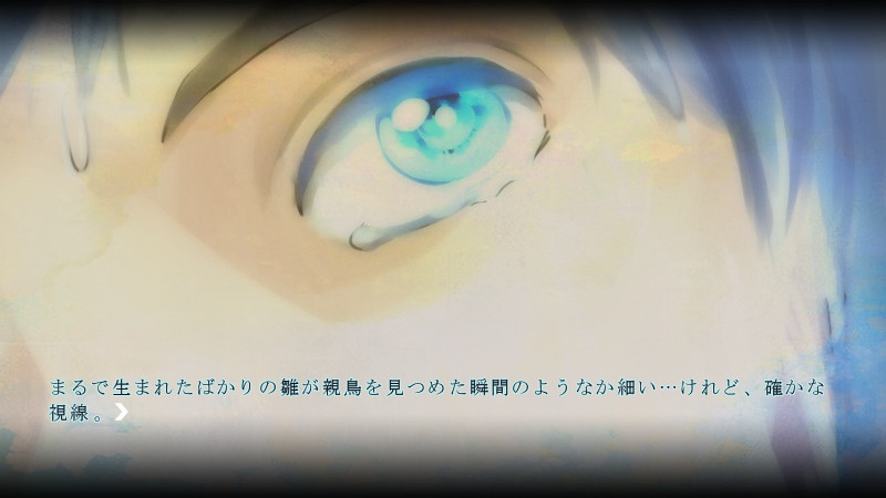 The Aquarium of Sodomy