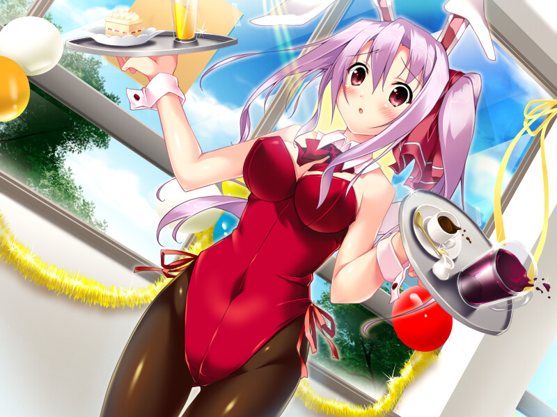 사쿠라색 콰르텟