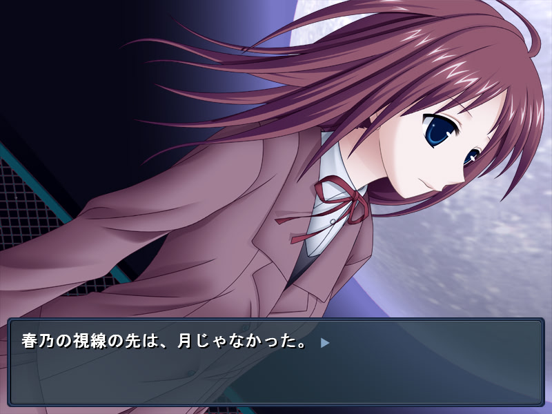 달이 내리는 밤