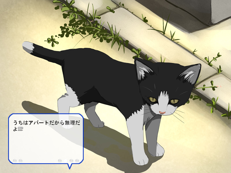 마이의 꽃봉오리