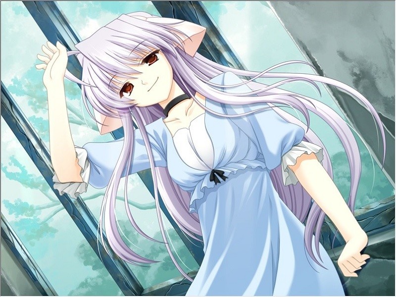 올려다본 하늘로 떨어져 간다