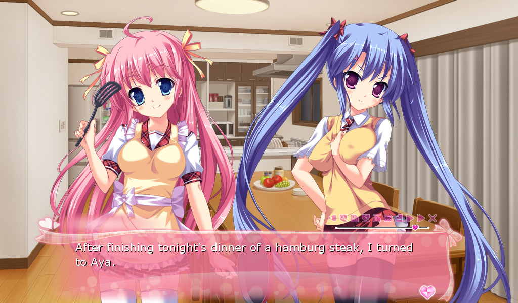 이모토 파라다이스! ～오빠와 5명의 여동생의 에치하고 넘치는 매일～