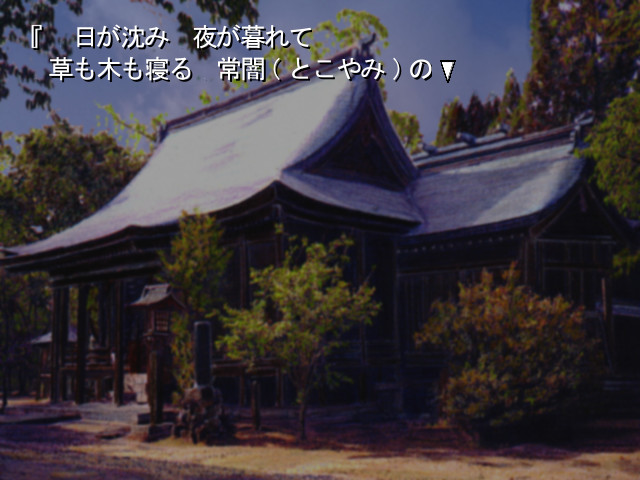 시노하나 -しのはな-