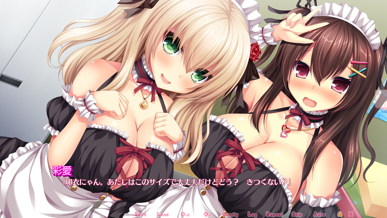 리얼 에로게 시추에이션! H×3