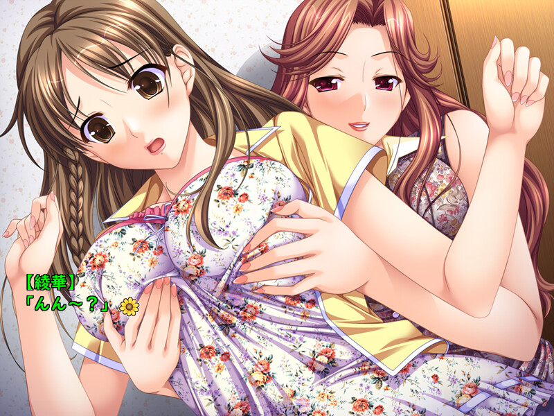 나츠도키! 하렘 ~친척 집에서의 고민 많은 수험 공부~