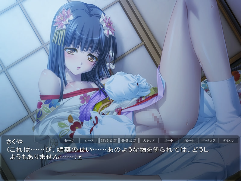 니에히메 -전국간락에마키-