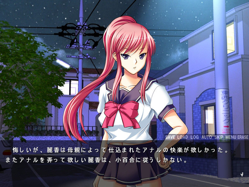 네토라레 카레시