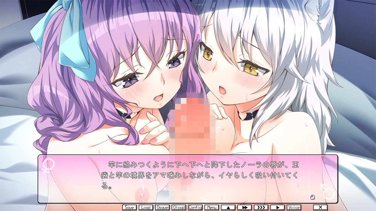 마타니티 몬스터즈! ～4명의 정처와 아이 만들기 신혼 하렘 성활!～