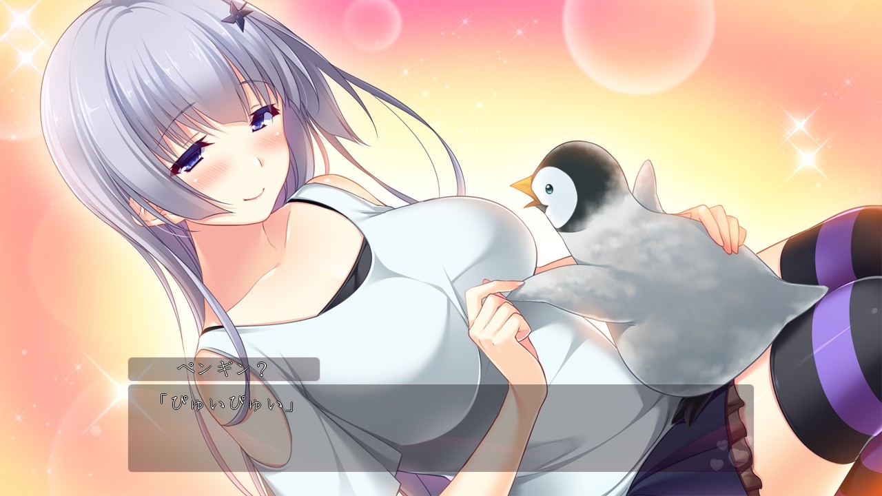 아네요메 콘체르토