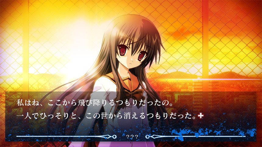 NOeSIS 거짓말을 한 기억의 이야기