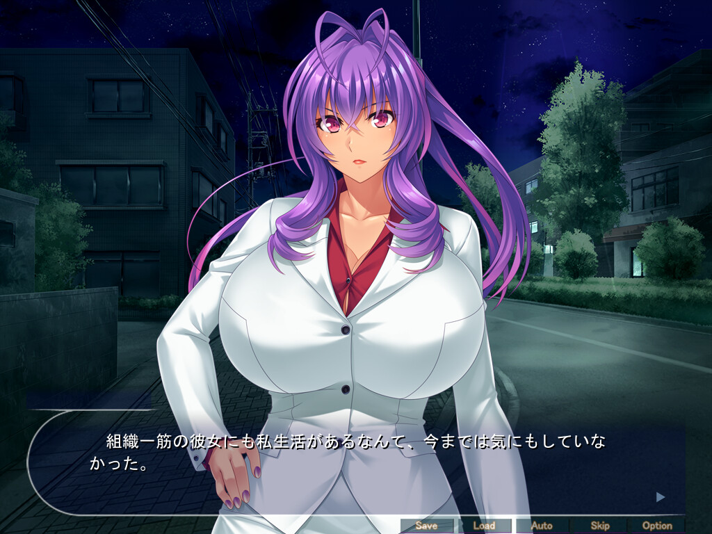 악의 조직의 노처녀 여간부를 임신시켜 오나홀로 만드는 전투원의 성생활