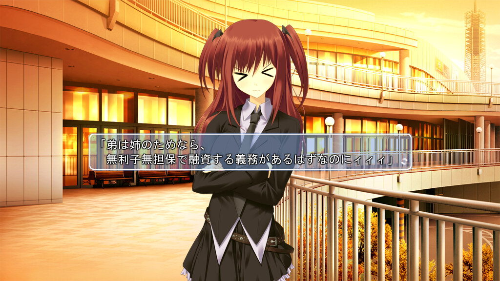 네코나데 디스토션 APRIORI