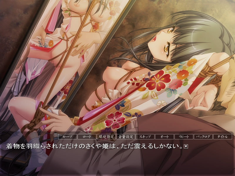 니에히메 -전국간락에마키-