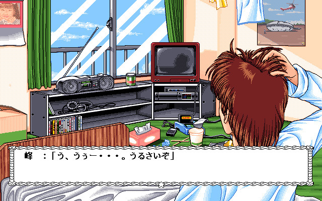 호시노 스나 이야기 3