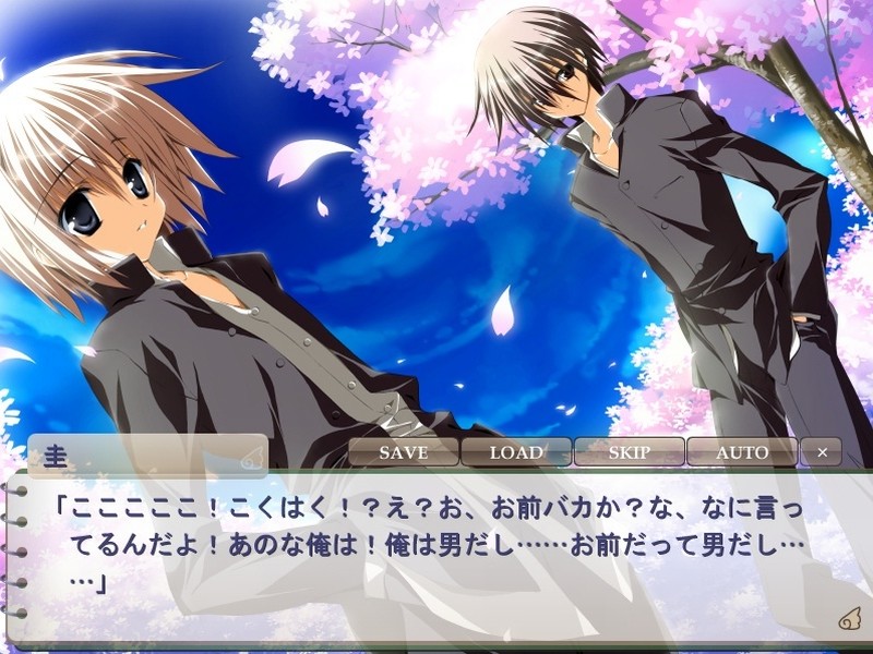 사쿠라의 시 -벚나무 숲 위에 흩날리다-